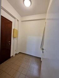 Cavenagh Lodge (D9), Apartment #621818231